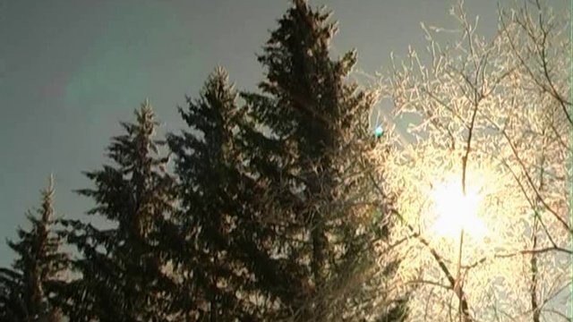 Конкурс операторского мастерства "Малая моя родина" на ГТРК "ОМСК