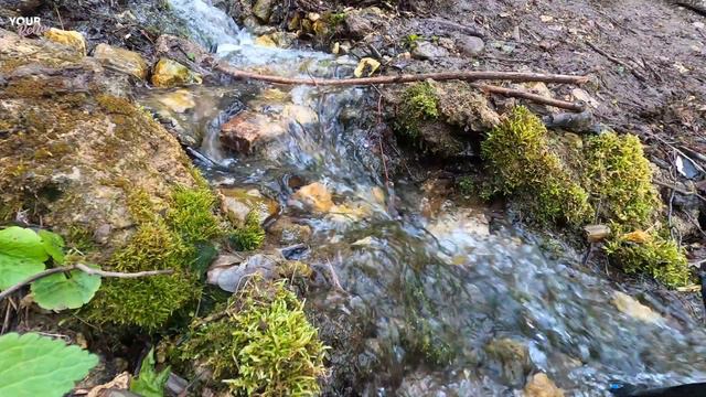 Sounds of Nature: Sound of a Forest Stream with Birds Singing. 10 Hours of 4K Video.