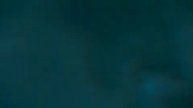 harry potter deathly hallows part 1 3D
