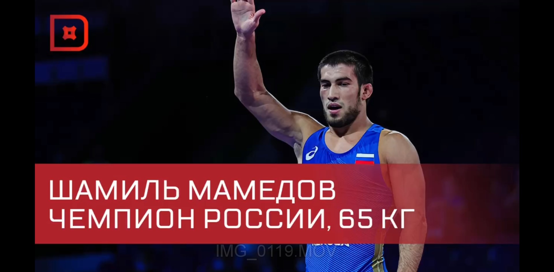 Шамиль Мамедов завоевал золотую медаль ЧР по вольной борьбе