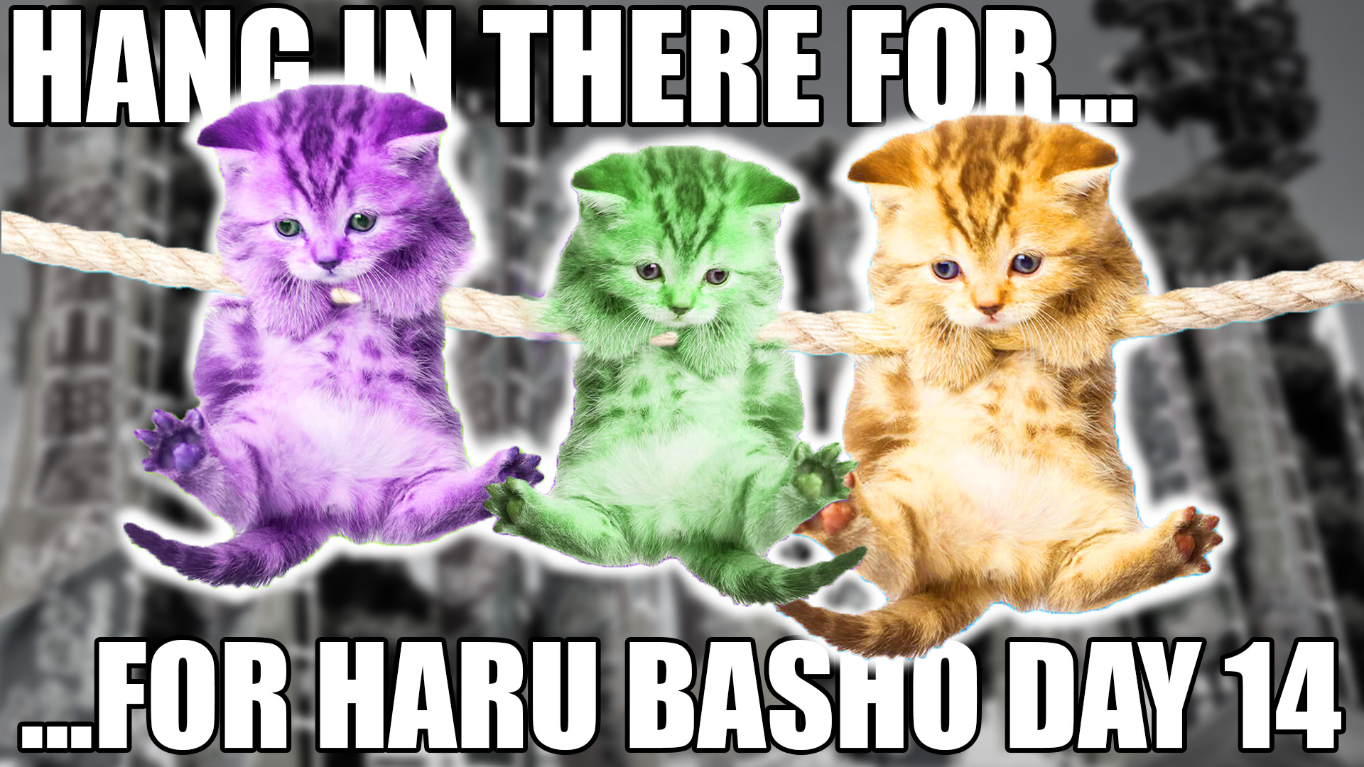 SUMO Haru Basho 2024 Day 14 March 23rd Makuuchi ALL BOUTS