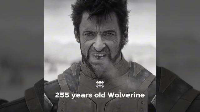 Wolverine💀