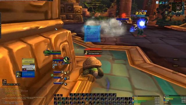Mongo idiot mage