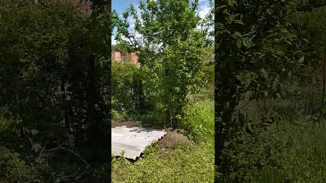 Участок под Краснодаром. Продажа.