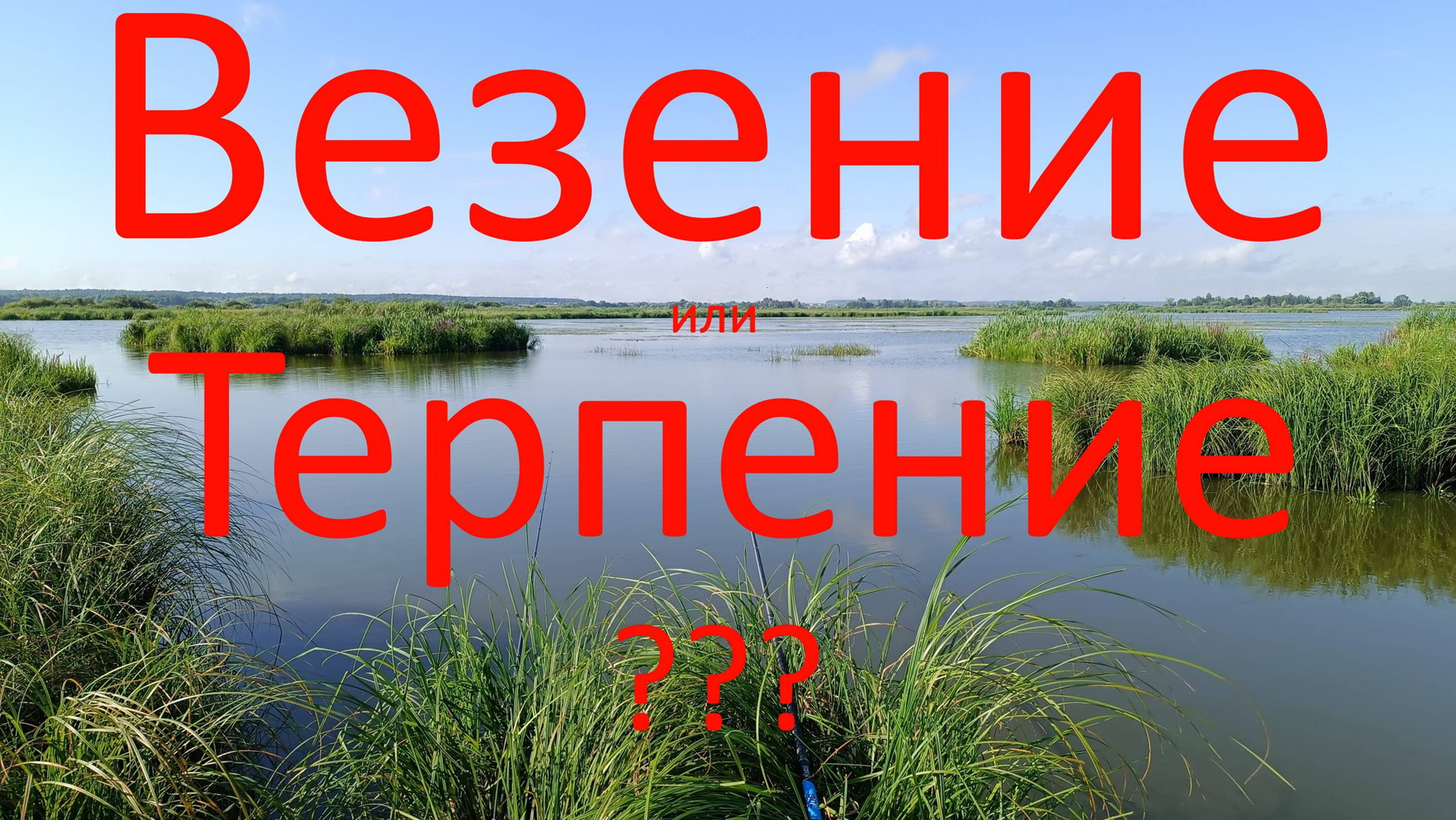 Везение или Терпение ???Конобеево. река Нерская. Московский пойменный заказник. 23.07.2024