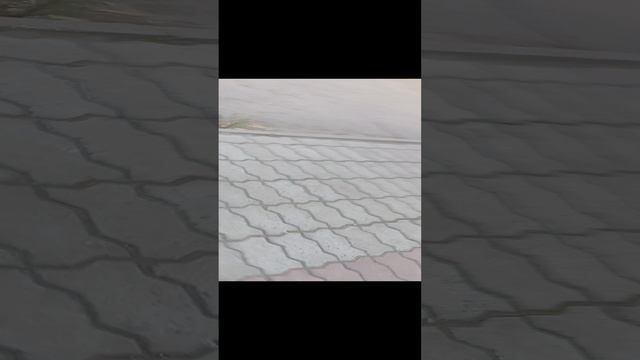 ахаххаха