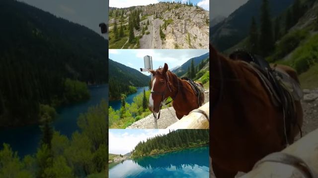 Танец лошадки #алматы #казахстан #кольсай #fpv #gopro #travel #travelvideo #лошадь #танец