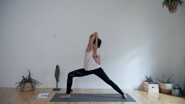 Vinyasa Yoga - El baile cósmico