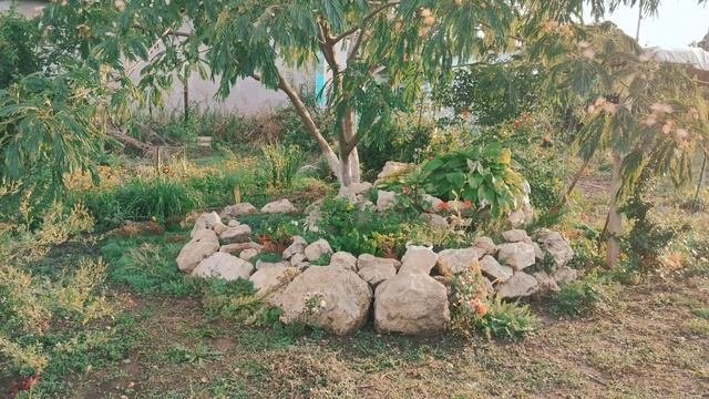 VID_20220711_191646.mp4