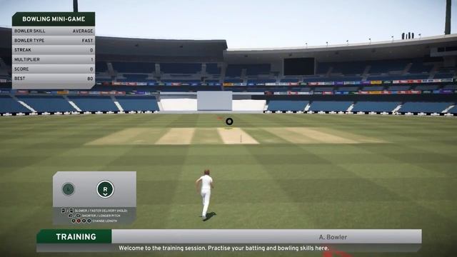 Don Bradman Cricket 17: Bowling Mini Game | Academy Update 5/10