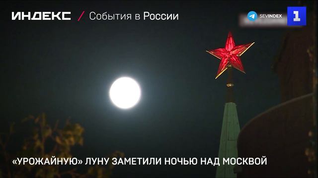 «Урожайную» Луну заметили ночью над Москвой