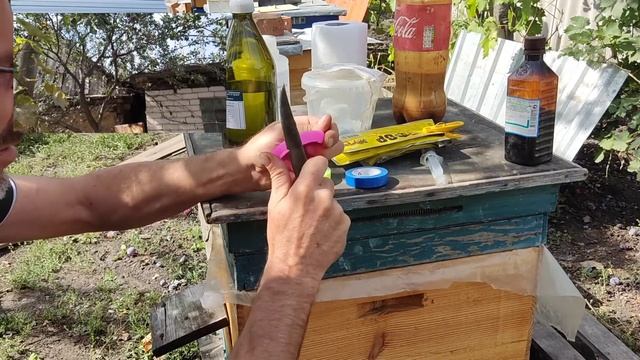Как я веду борьбу с V.D. клещем на протяжении всего сезона.