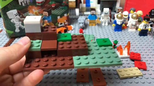LEGO MINECRAFT 21162 Building