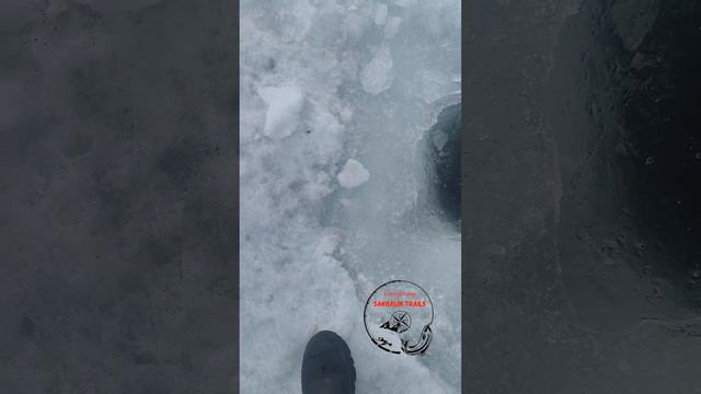 Крабалка/Сахалин/Подпишись☝🏻🤝🏻