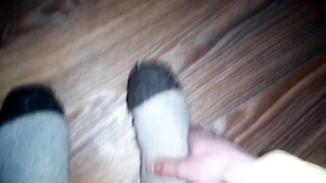 Отзыв про носки из верблюжьей шерсти