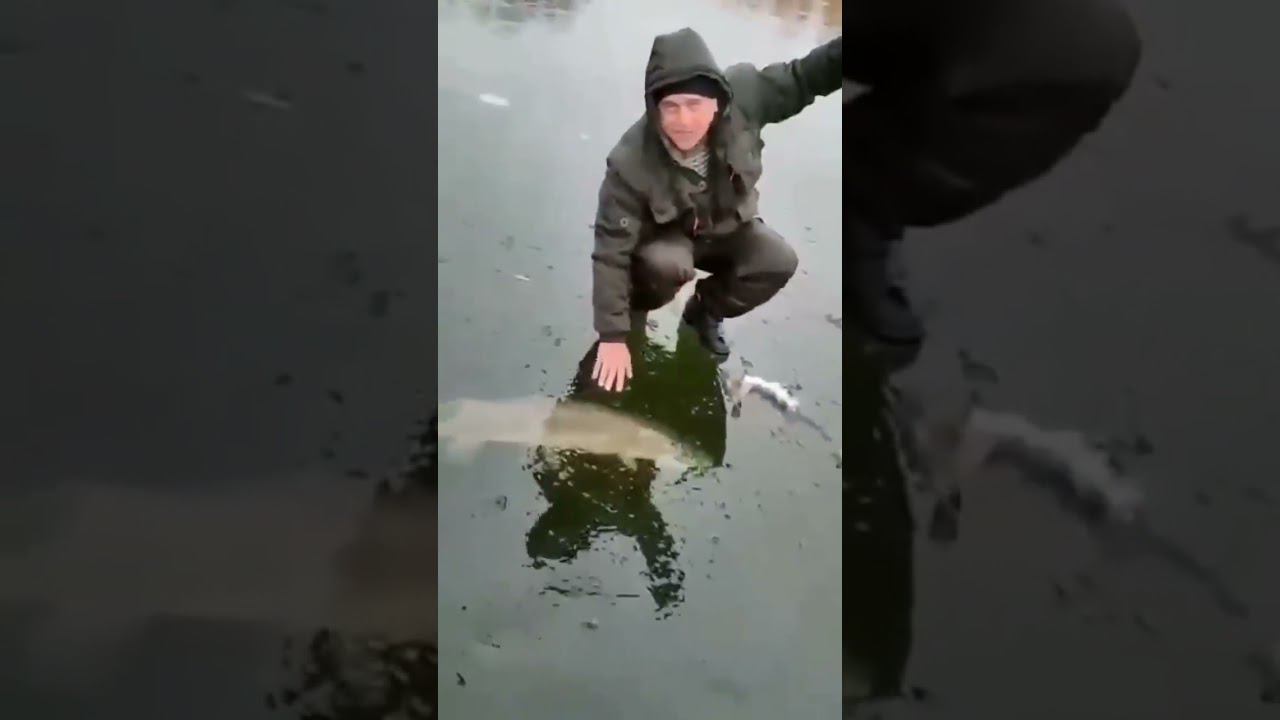Щука 12 кг. Часть первая.