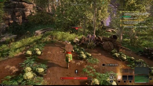 Немного о MMORPG New World!
