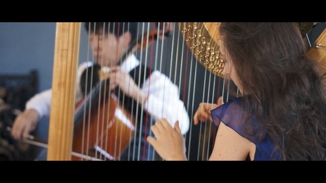 Best Classical Music For Wedding -  Harp And Cello, Los Angeles, Orange County, Santa Barbara
