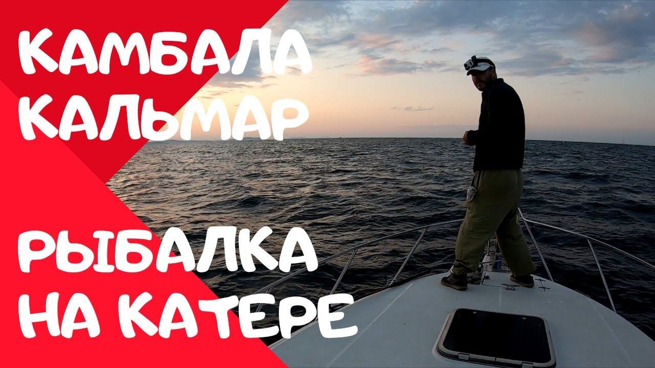 Рыбалка на катере. Ловим камбалу и кальмара.