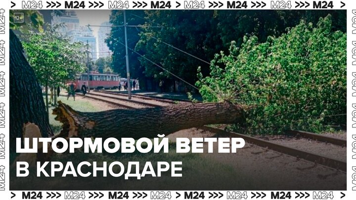 Новости регионов: в Краснодаре бушует штормовой ветер - Москва 24