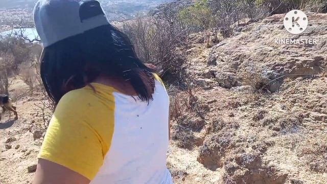 Un día en pañales ABU Little kings  Vlog