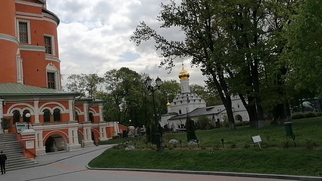 Розы в Донском монастыре Москвы в мае 2024.