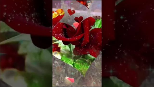 Полная версия песни "Мой цветок"По Вашей просьбе.