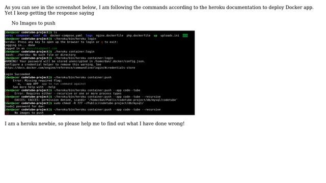 Salesforce: Please help me to deploy Docker app onto heroku, Steps in the documentation don't work?