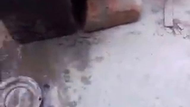 самодельная дробь