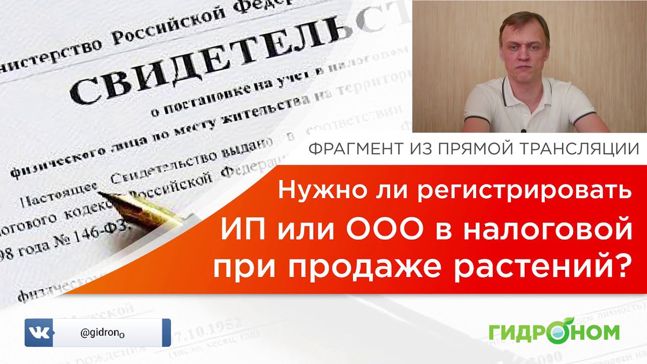 Нужно ли регистрировать ИП или ООО при продаже растений?