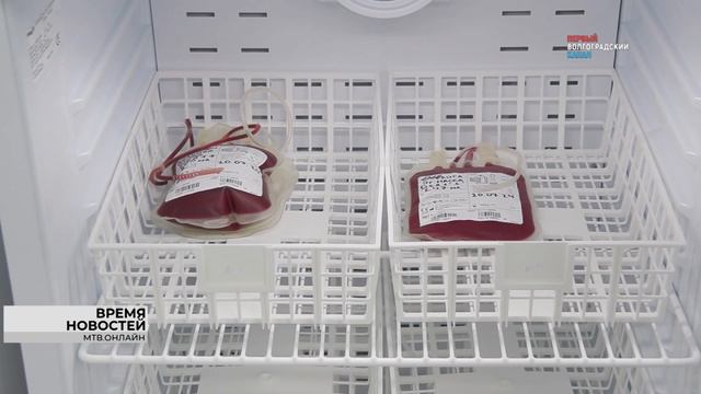 В Волгограде открыли первый в регионе банк крови для животных