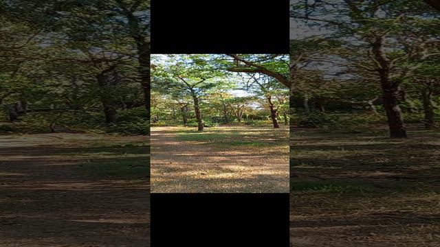 1000091286.mp4