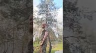 Выкуривание с позиций боевиков ВСУ зажигательными снарядами на Купянском направлении