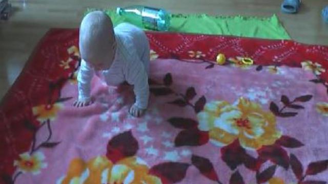 Юный Поползень