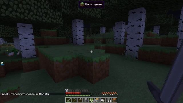 Магический мир | Начальное выживание | Minecraft #1