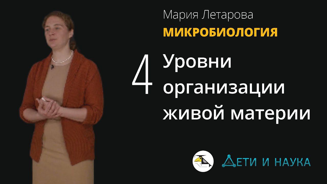 4. Уровни организации живой материи.  Мария Летарова - Микробиология 10 - 11 класс