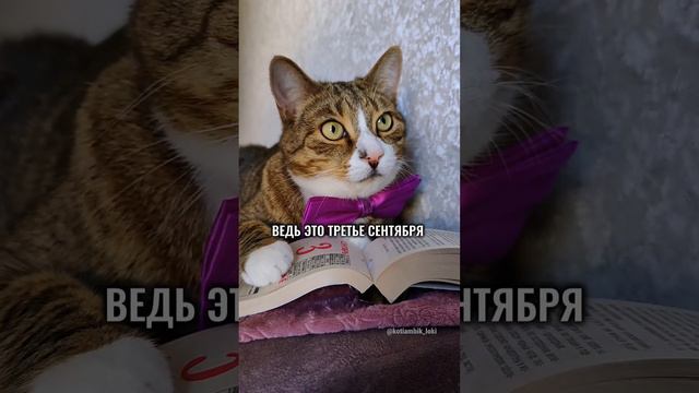 Котямбик перевернул календарь😅