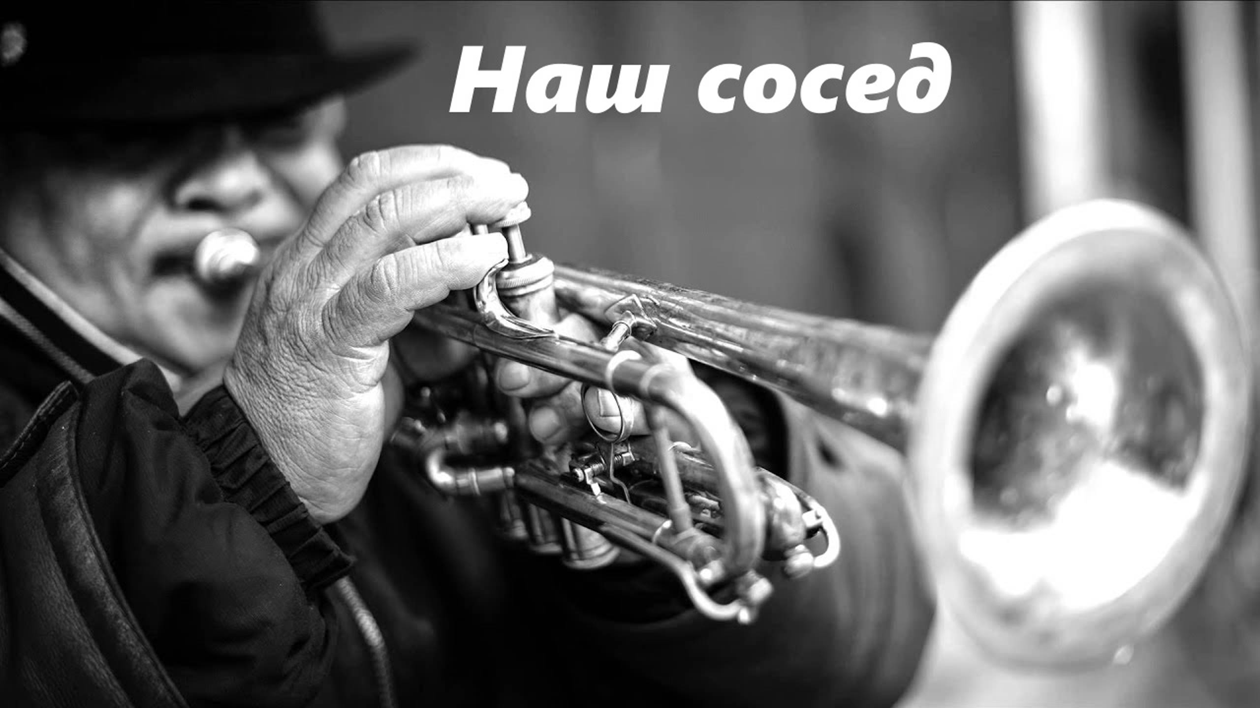 Наш сосед