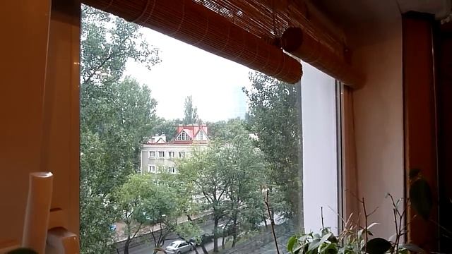 Panasonic Lumix DMC-TZ10 - day movie zoom test