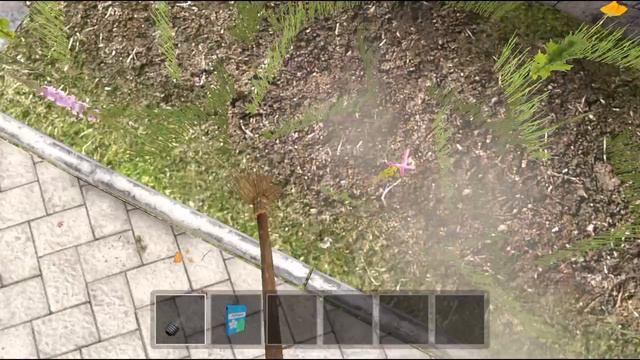 1000007104.mp4
