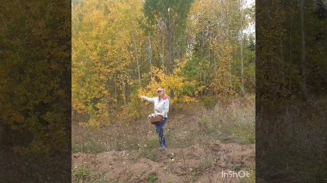 Осень, рыжая подружка...  Пикник, шашлык...  Autumn, Red-haired Friend... Picnic, Barbecue.