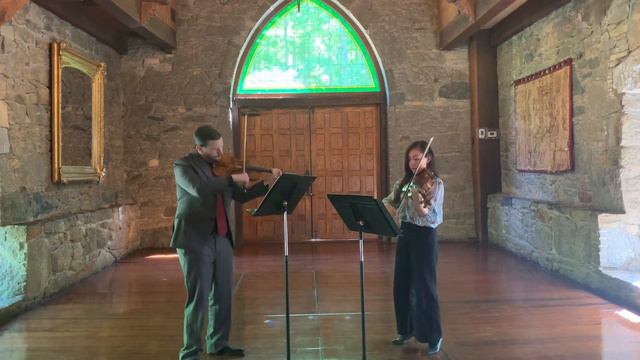 Theme from Up (for violin and viola duo)
