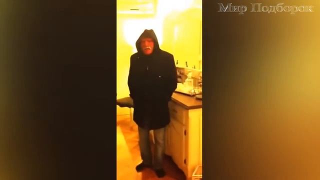 Смешные Кошки и Собаки боятся Хэллоуина - Забавные Кошки и Собаки - Смешные Животные 2016