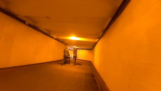 В Санкт Петербурге и его окрестностях.