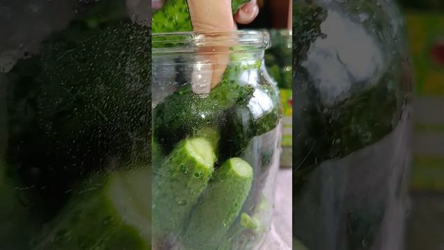 🥒💯Самые вкусные маринованные огурчики 🍃