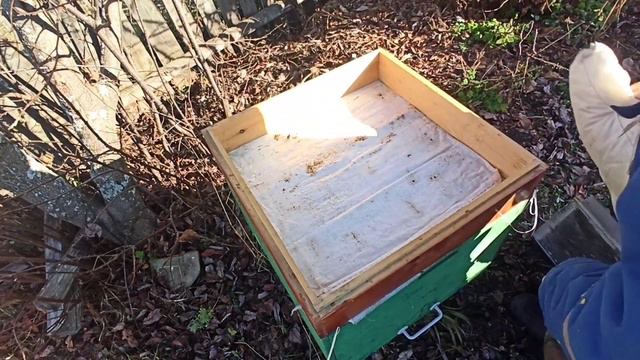 осмотр состояния пчелосемей перед постановкой в омшанник. bee omshanik beekeeping