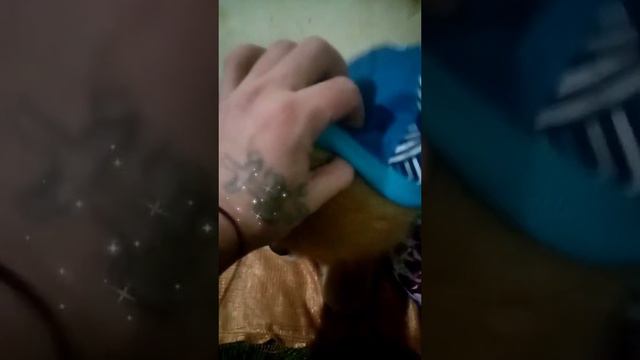 Можорик