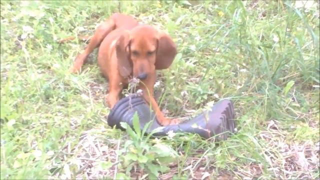 УСПОКАЕВАЕМ НЕРВЫ  :-)))))!! НЕМНОГО ПОЗИТИВА