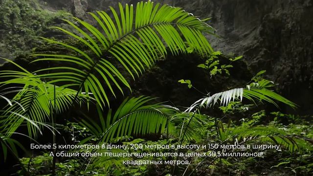 Шондонг (Вьетнам) самая крупнейшая пещера в мире [Субтитры]