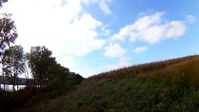 Вот оно!Серебряные монеты!